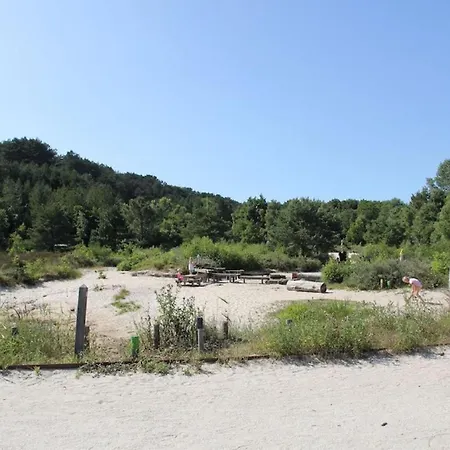 Kleine Nachtegaal سكورل