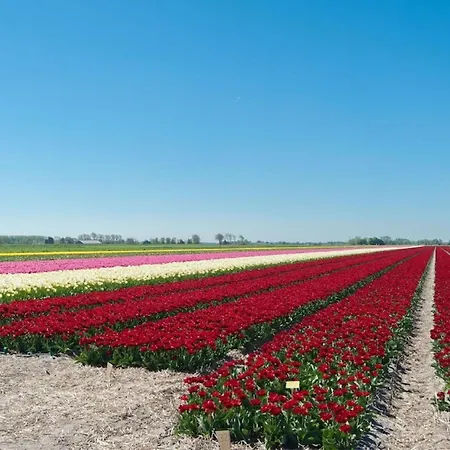 Kleine Nachtegaal بيت للعطل