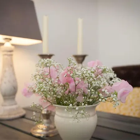 Kleine Nachtegaal سكورل