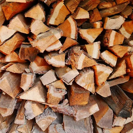 Kleine Nachtegaal Holiday home