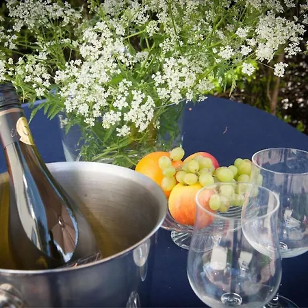 Kleine Nachtegaal Holiday home Schoorl