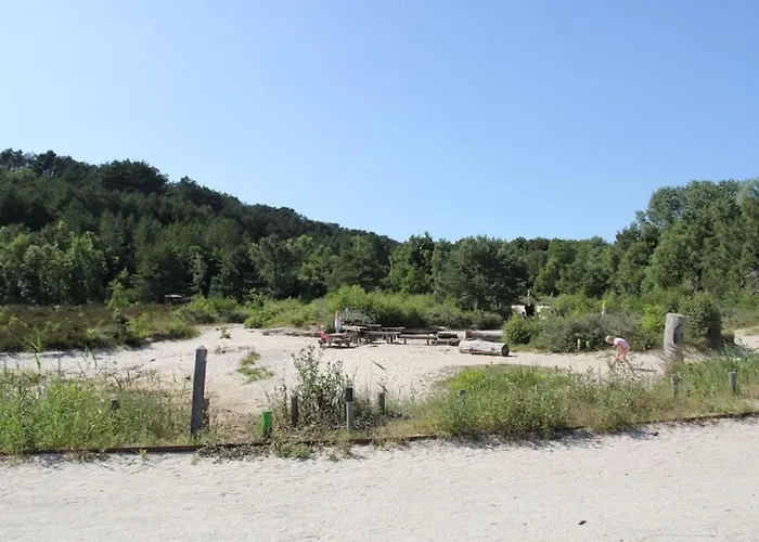 Kleine Nachtegaal 슐