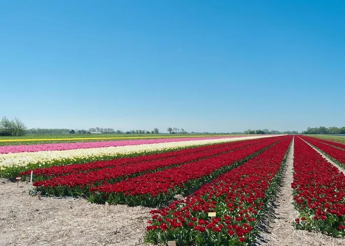 Kleine Nachtegaal 펜션