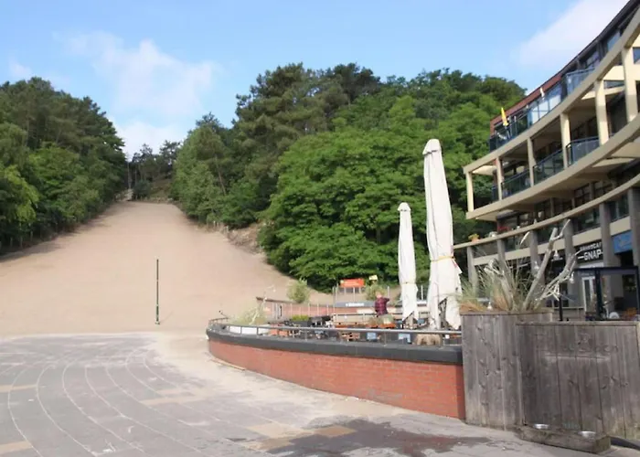 Kleine Nachtegaal * 슐