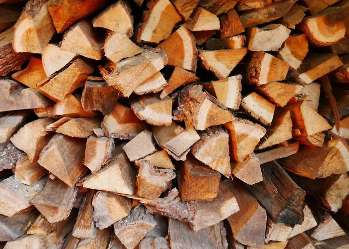 Kleine Nachtegaal 펜션